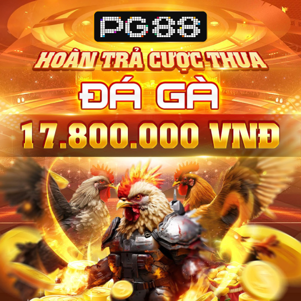 333bet icon