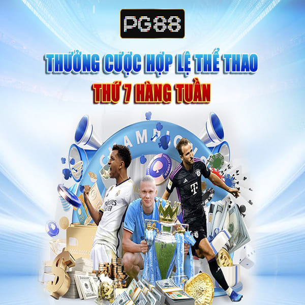 Đội Vô Địch World Cup